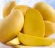 Health Effects Of Eating Rotten Mango
