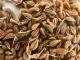 Health Benefits Of Aniseed