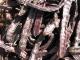 Carob Facts  To Eat Or Not To Eat