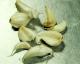 How To Use Garlic For Skin Care