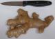 Is It Safe To Eat Ginger During Pregnancy?