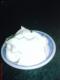 Mayonnaise Allergy-Causes, Symptoms, And Cure 