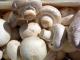 How To Use Mushroom for Skin Care