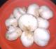 How To Go Mushroom Hunting In North Carolina