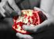 National Pomegranate Month - Recipe Ideas To Celebrate