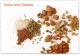Get Crunchy This Winter With Nuts & Seeds	