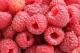 How To Use Raspberry For Skin Care