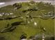 How To Remove The Brine Taste From Grape Leaves