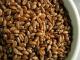 How To Make Sprouted Spelt Flour