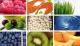 Top 10 Super Foods