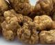 Wonders Of White Truffle
