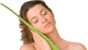 Natural Remedies For Poison Ivy During Pregnancy