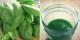 Basil Oil For Hair Care