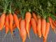How To Go On A Raw Carrot Diet?