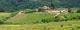 Chianti Wine Tour