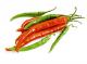 How To Fight Chili Addiction?