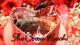 Beware! You May Get A Cocoa-Roach This Valentines Day!