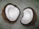 Is It Safe To Eat Coconut During Pregnancy?