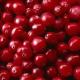 Is It Safe To Eat Cranberries During Pregnancy?