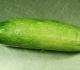 Cucumber Medicinal Uses