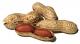 Dont Eat Peanuts In Pregnancy 