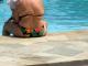 Obesity Epidemic In Europe