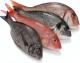 Is It Safe To Eat Fish During Pregnancy?