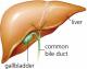 Herbal Remedies For Gallbladder Disorders
