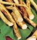Horseradish Substitutes: Top Horseradish Substitutes