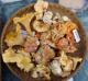Chicago Food Festivals