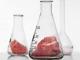 Scientists Working To Grow Meat In Labs - Test Tube Meat Anybody!