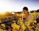 Australia Wine Tour