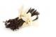 How To Store Vanilla Pods At Home
