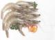 Top Health Benefits Of Krill Oil