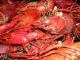 Lobster Allergy-causes, Symptoms, And Cure 