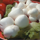 How To Pack Homemade Mozzarella Cheese?