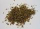 Oregano Medicinal Uses