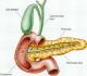 Pancreatitis Foods to Eat