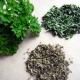 Tips To Store Parsley