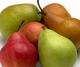 Which Are The Best Pears For Eating