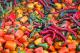 The 5 Hottest Peppers In The World