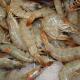 Is It Safe To Eat Prawns During Pregnancy?