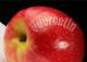 What Are The Benefits Of Quercetin For Allergies