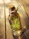 What Are The Uses Of Rosemary Oil