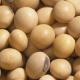 Necessity The Mother  Of Food Innovations During War
