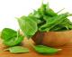 Natural Remedies For Migraine During Pregnancy