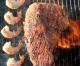 10 Best Restaurants In New Jersey