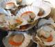 Restaurant Offers Scallops Substitutes