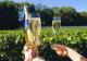 Oregon Wine Tour