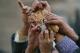 World Steadily Heading Towards A Food Crisis Situation